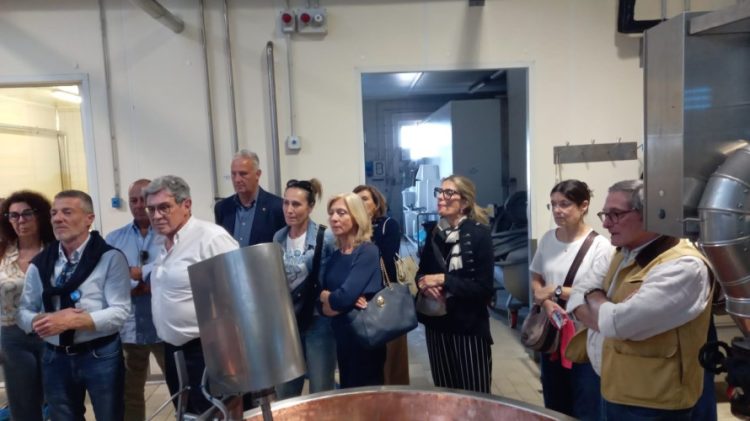 Gita a Parma: tra cultura, sapori e amicizia